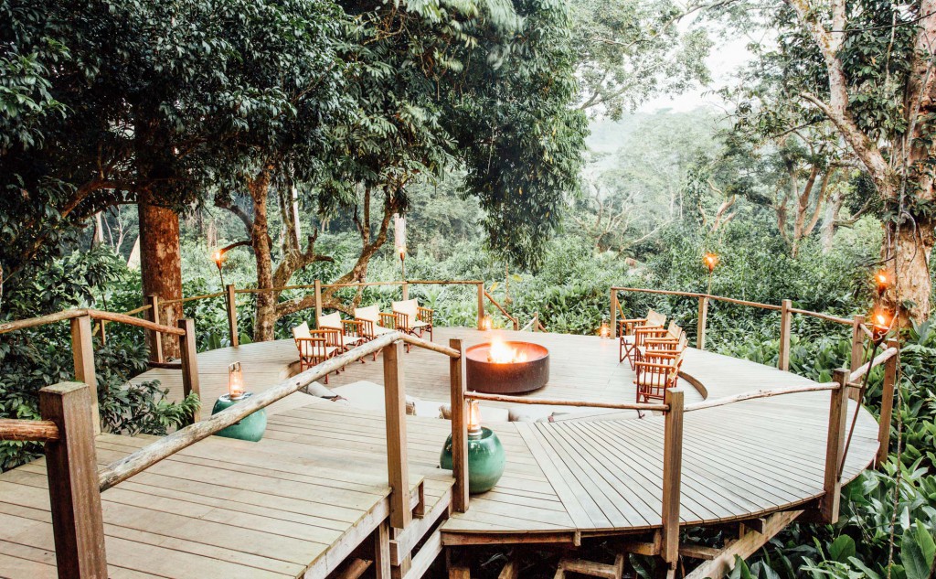 Luxury accommodation in Congo, Africa to experience gorilla trekking.