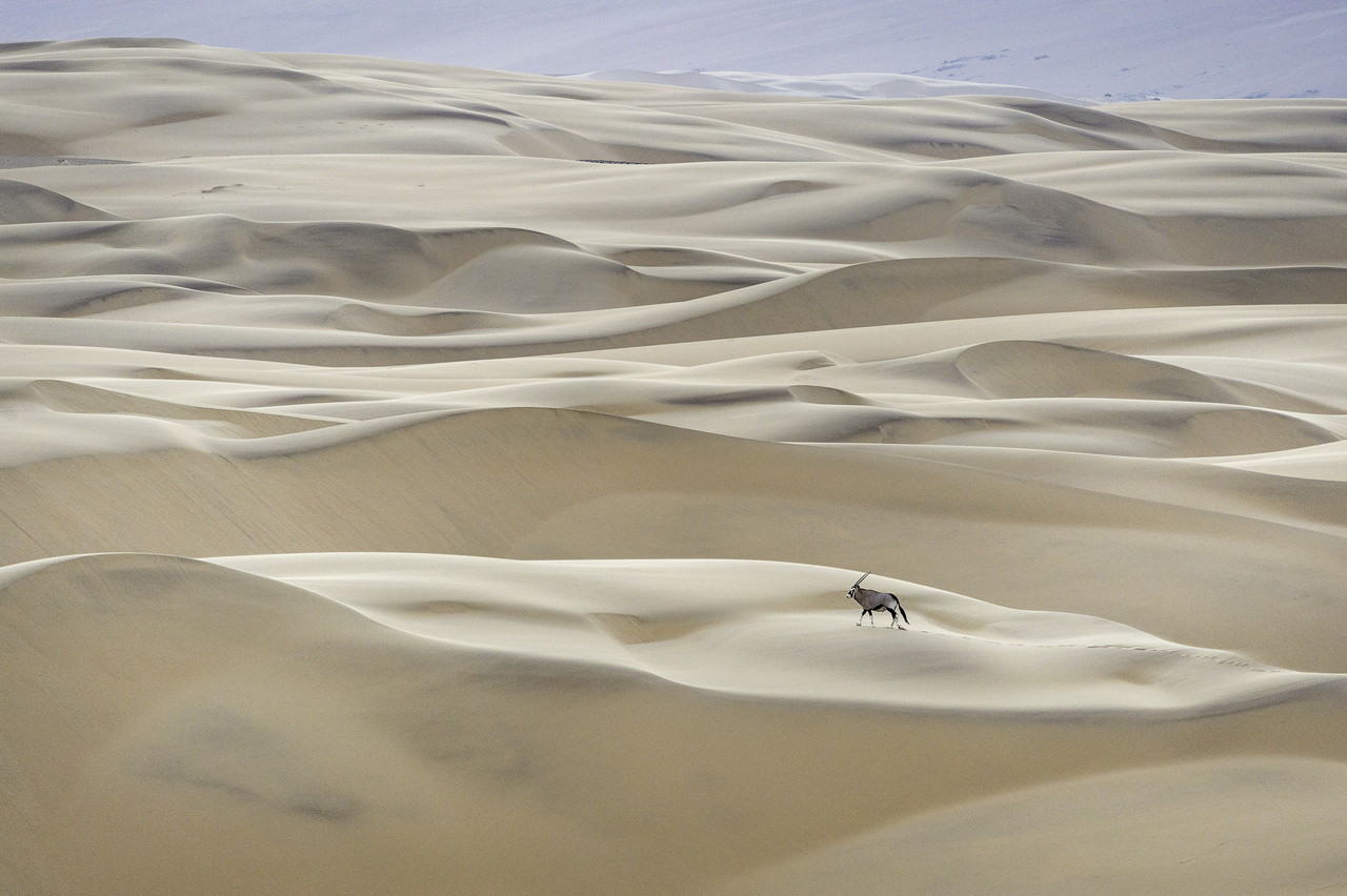 desert in Namibia Africa