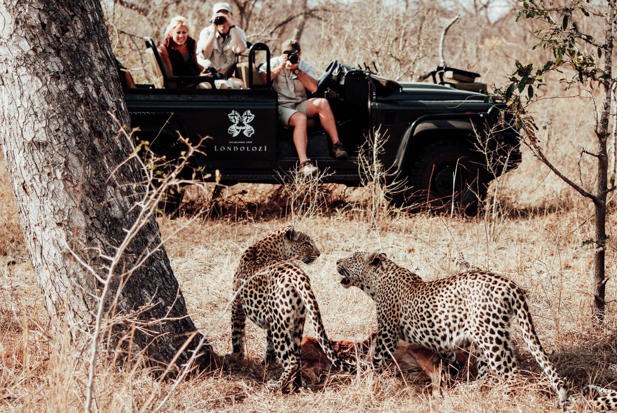 South Africa Safari Kruger National Park Safari Forth & Wonder