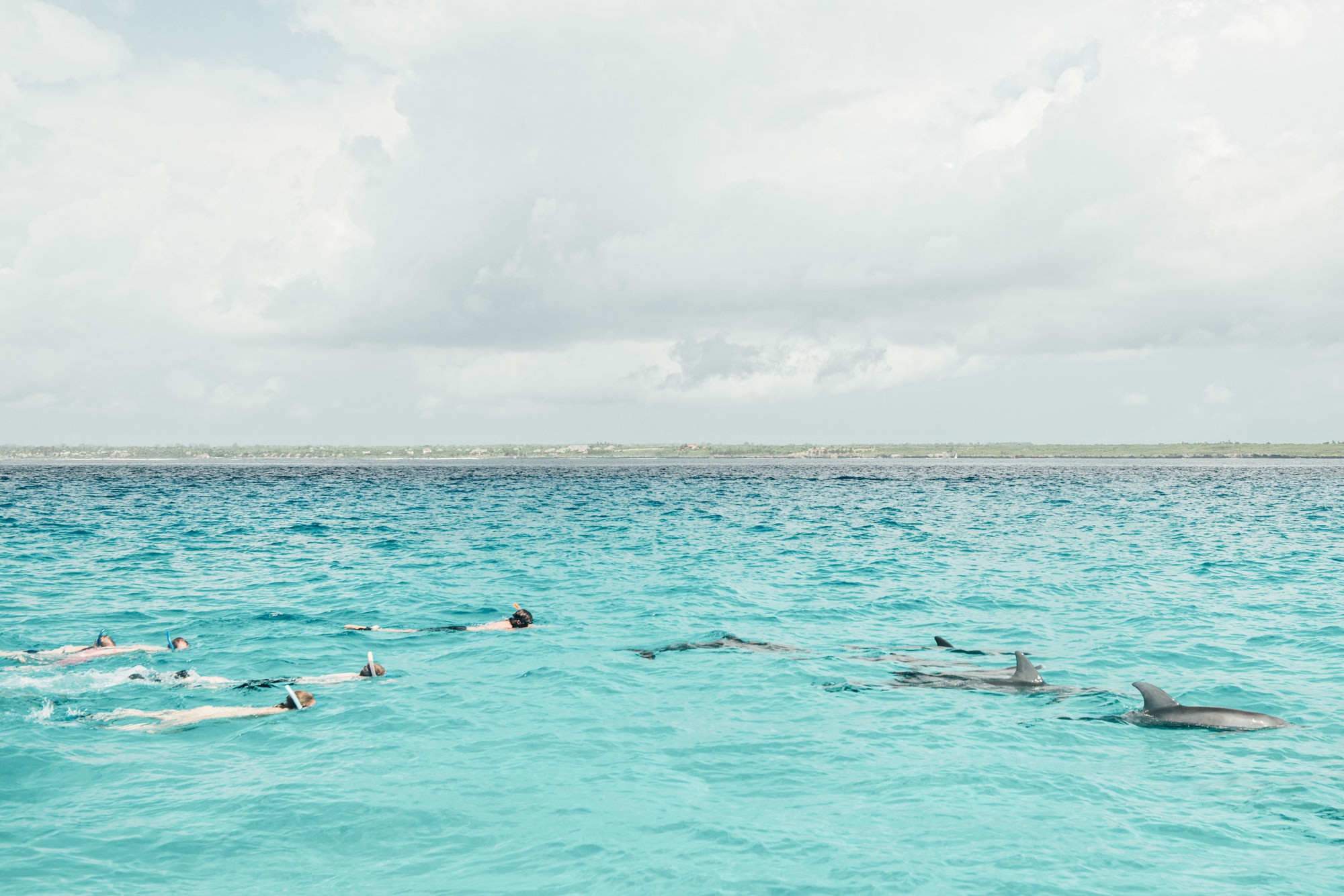 Matemwe Snorkelling experience in Zanzibar, Tanzania. Luxury travel in the Indian Ocean