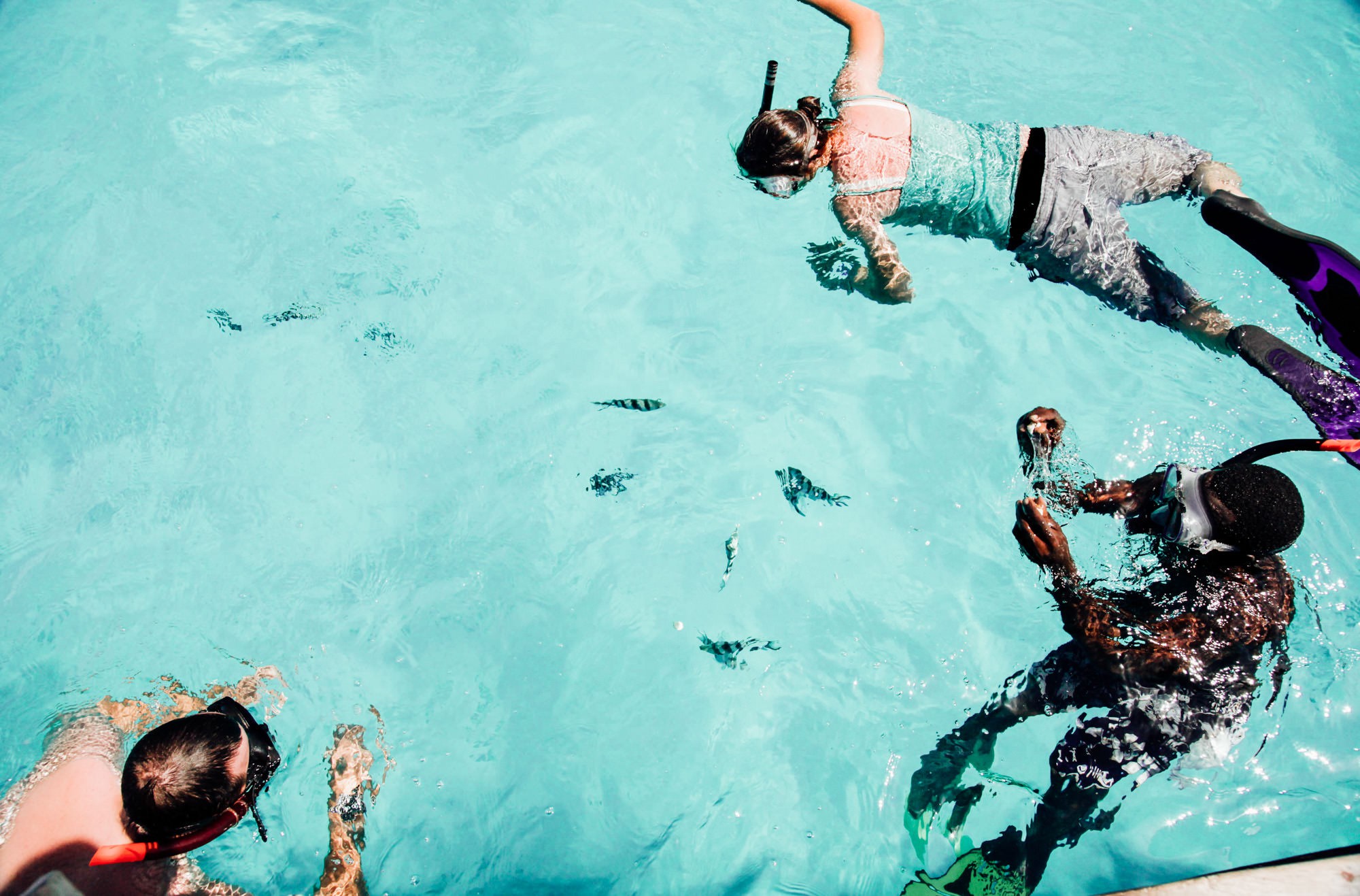 Matemwe Snorkelling experience in Zanzibar, Tanzania. Luxury travel in the Indian Ocean