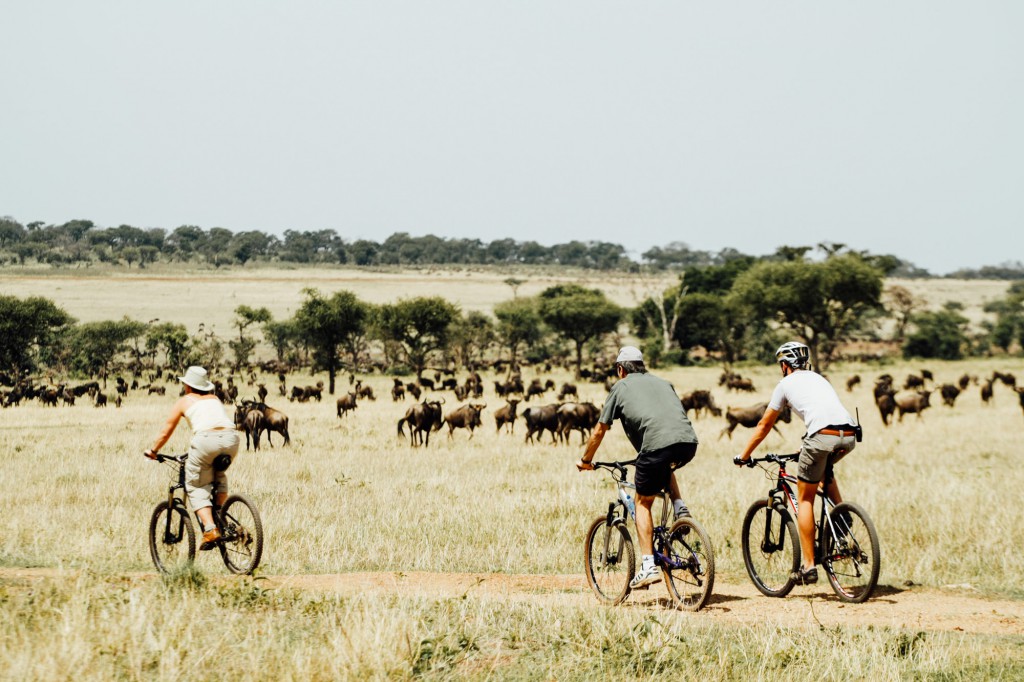 Bike riding on safari in Serengeti, Kenya