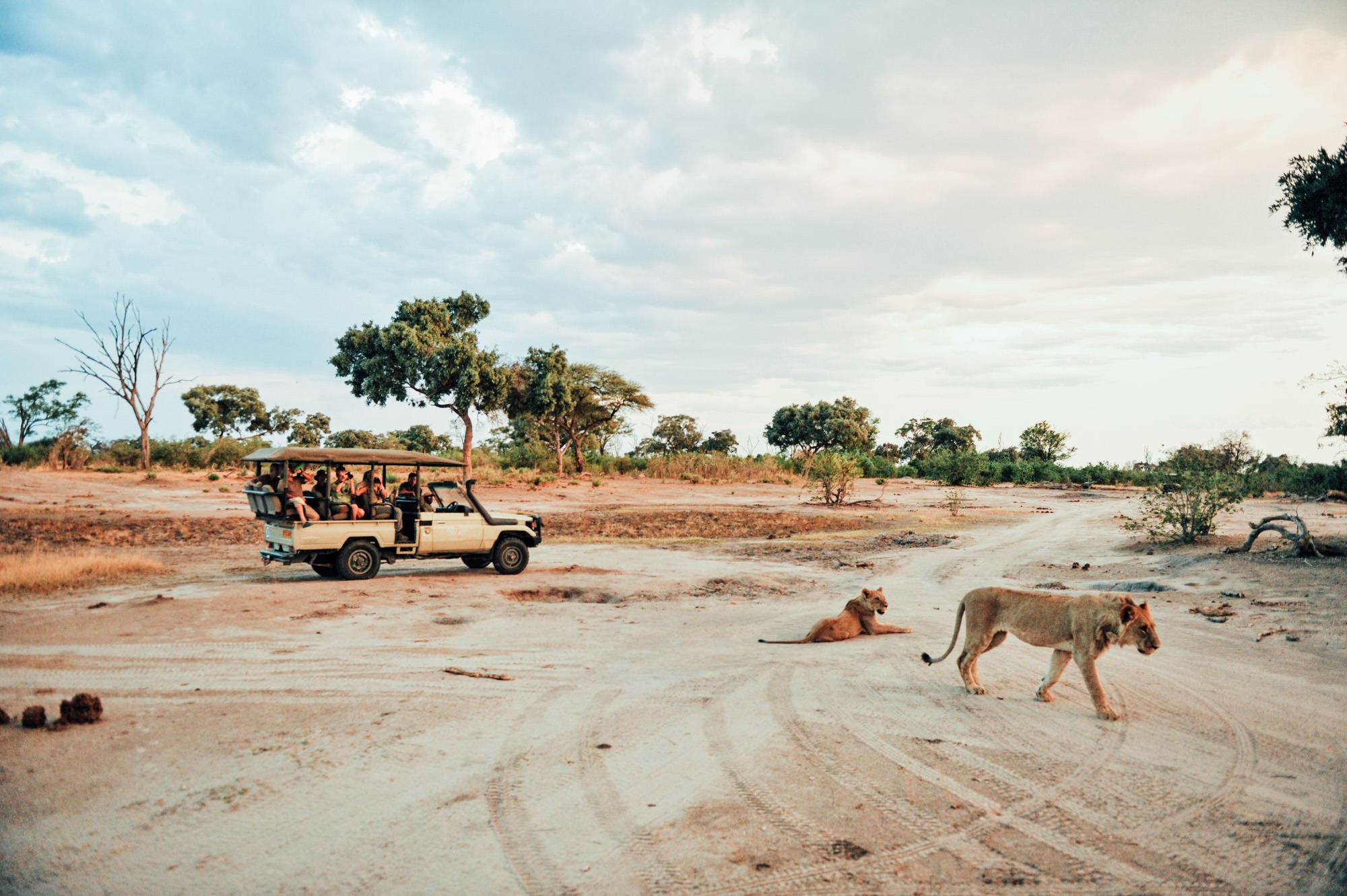 Zimbabwe Safari Africa. Luxury Travel