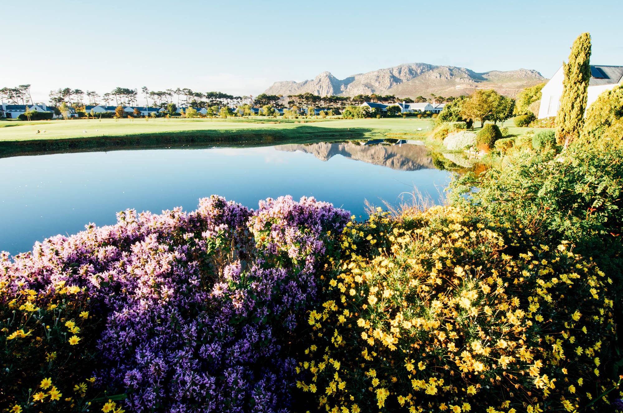 Cape Town golf course in South Africa.