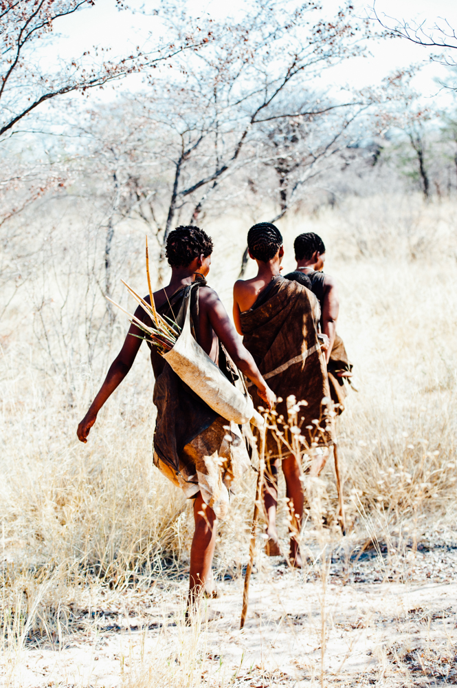 Botswana Kalahari Desert, Africa