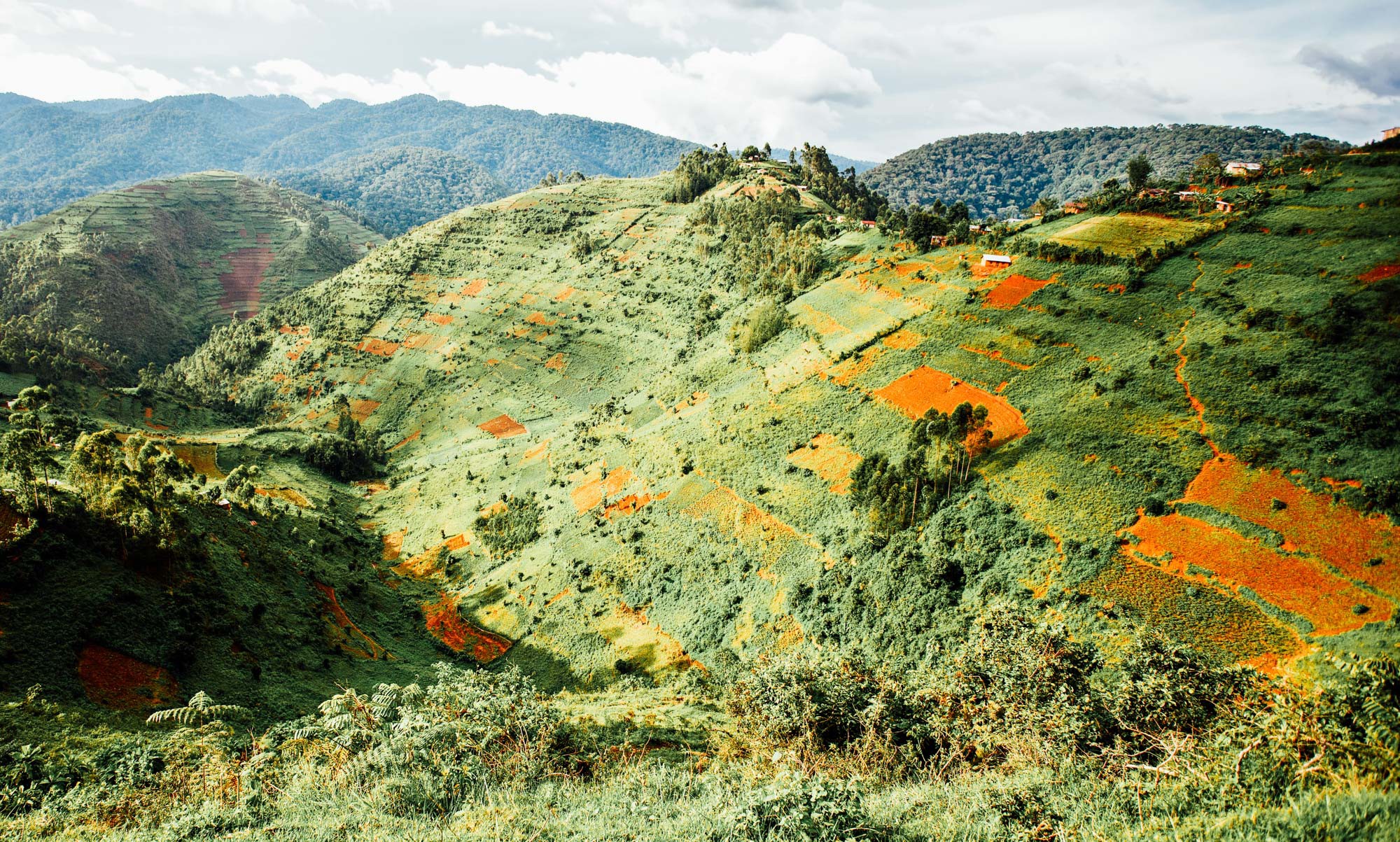 Landscape in Uganda, Africa. Luxury travel