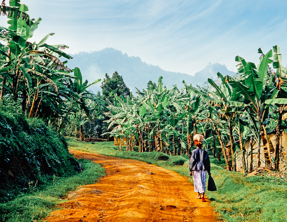 Local in small village, Uganda, Africa