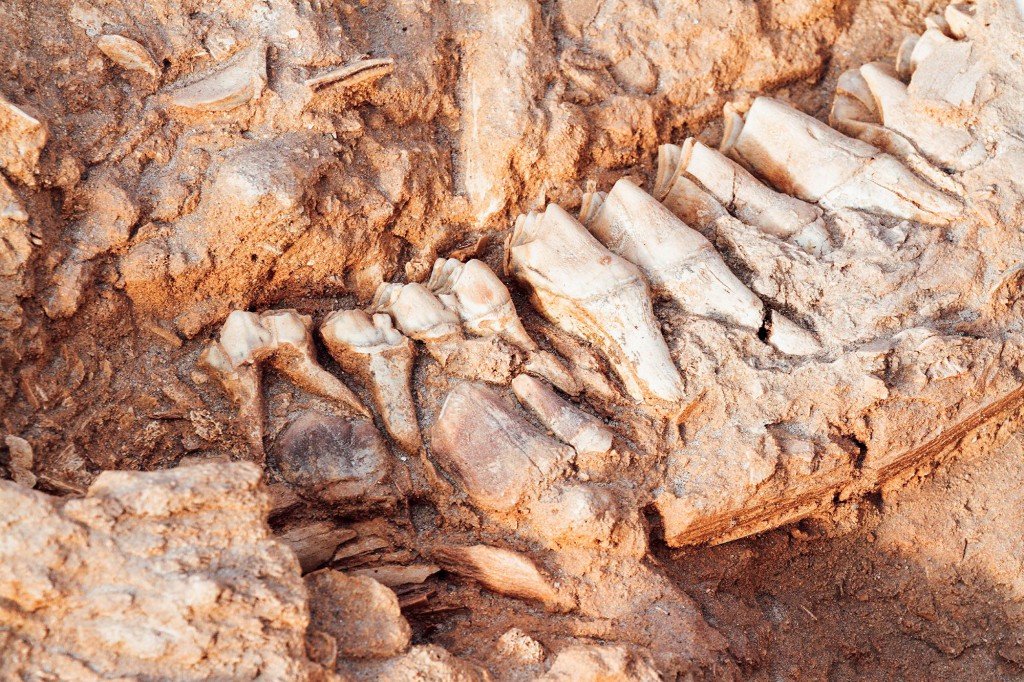 History in Africa. Luxury travel in Africa and the Indian Ocean.