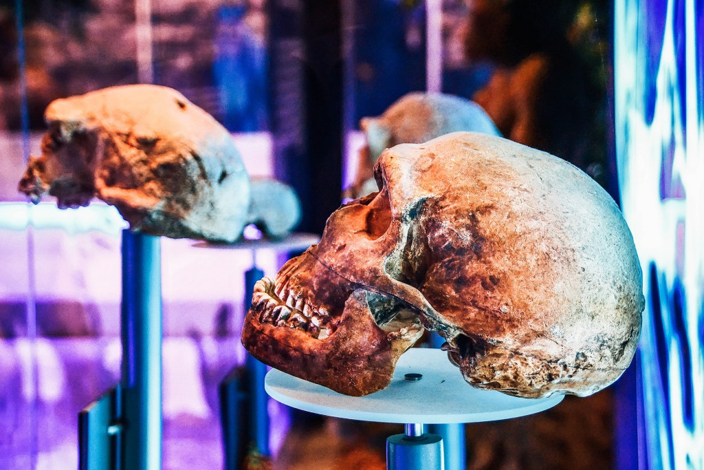 Cradle of Humankind in South Africa. Luxury travel in Africa and the Indian Ocean.