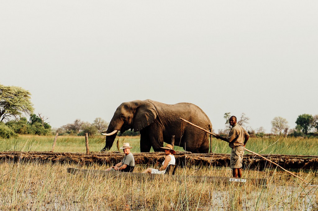 Canoe Safari with elephants in Botswana, Africa.