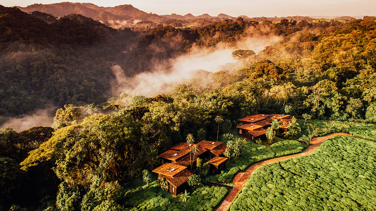 One&Only Nyungwe House - Rwanda