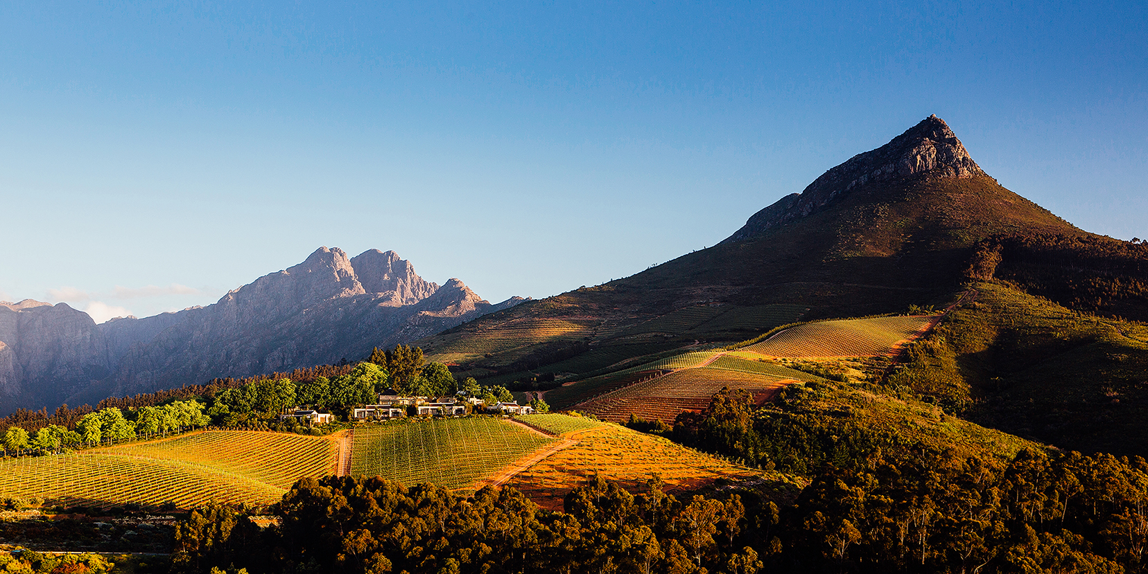 Delaire Graff - Cape Winelands