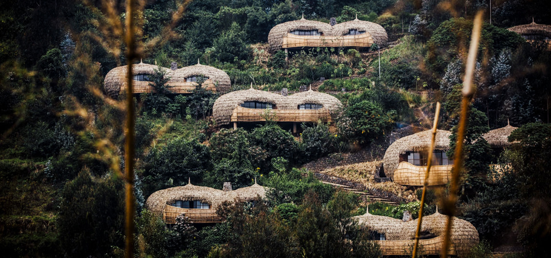 Bisate Lodge, Rwanda - Luxury Africa Safaris with Forth & Wonder
