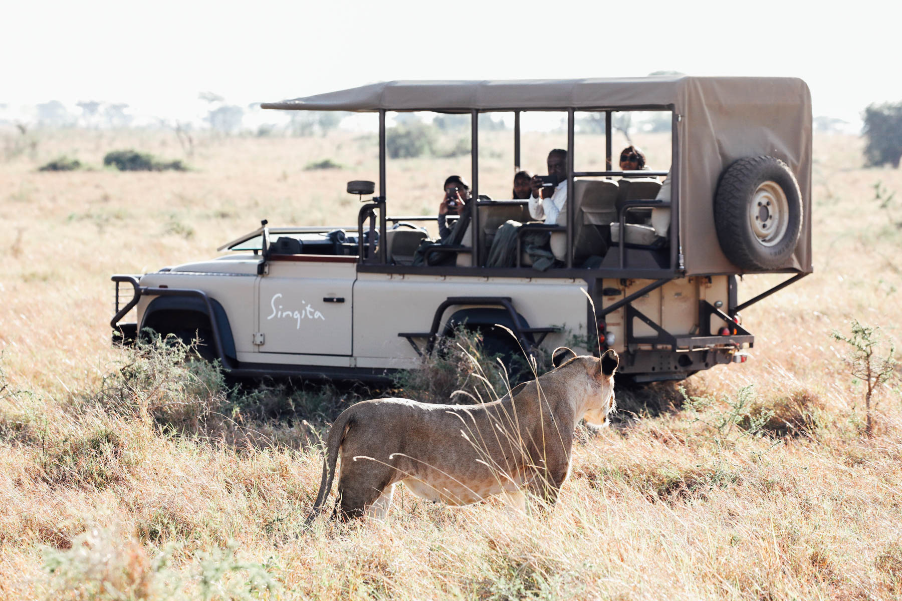 Client Safari: Christine & Michael Goerner