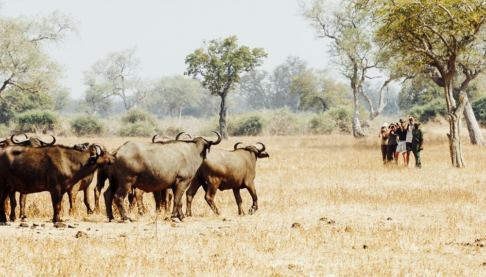 Africa’s Hidden Hot Spots 2019