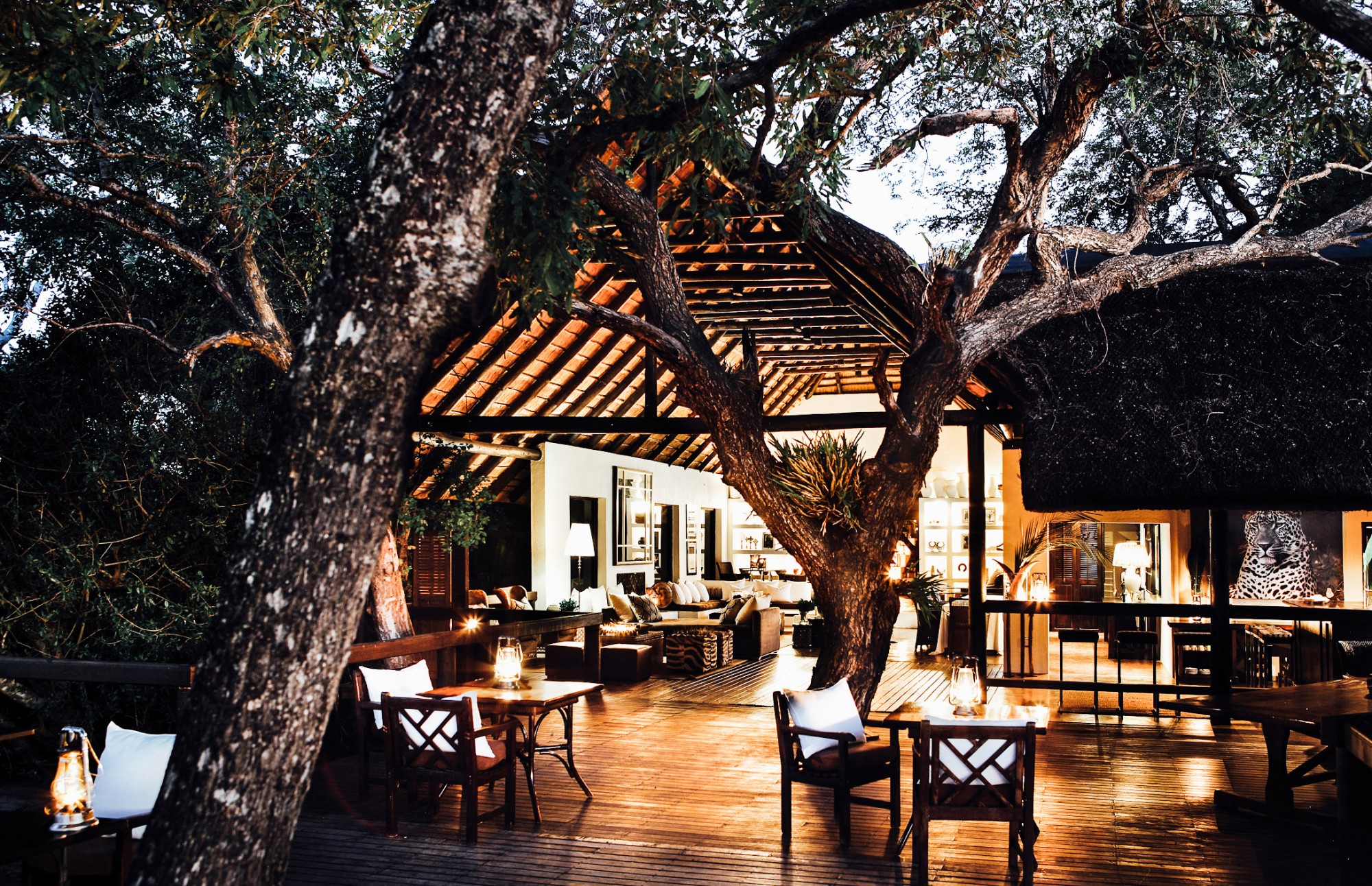 Best of the best: South Africa’s most luxurious safari experiences