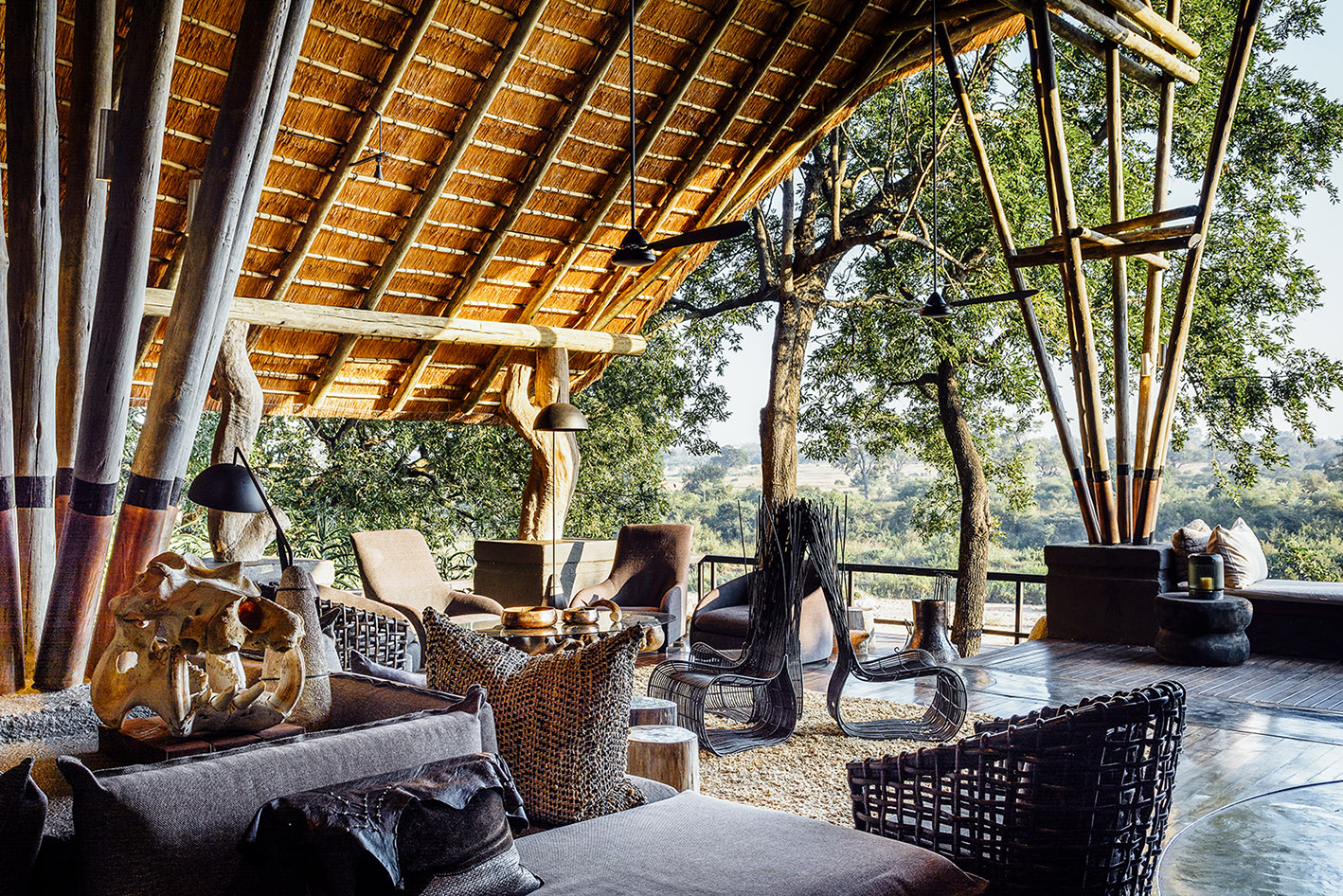 Best of the best: South Africa’s most luxurious safari experiences