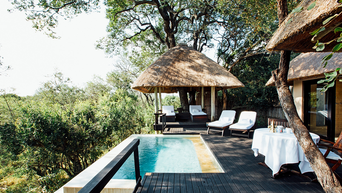 Royal Malewane By Sarah Dimopoulos