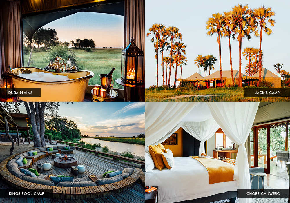 DesertMeetsTheDelta-Grid