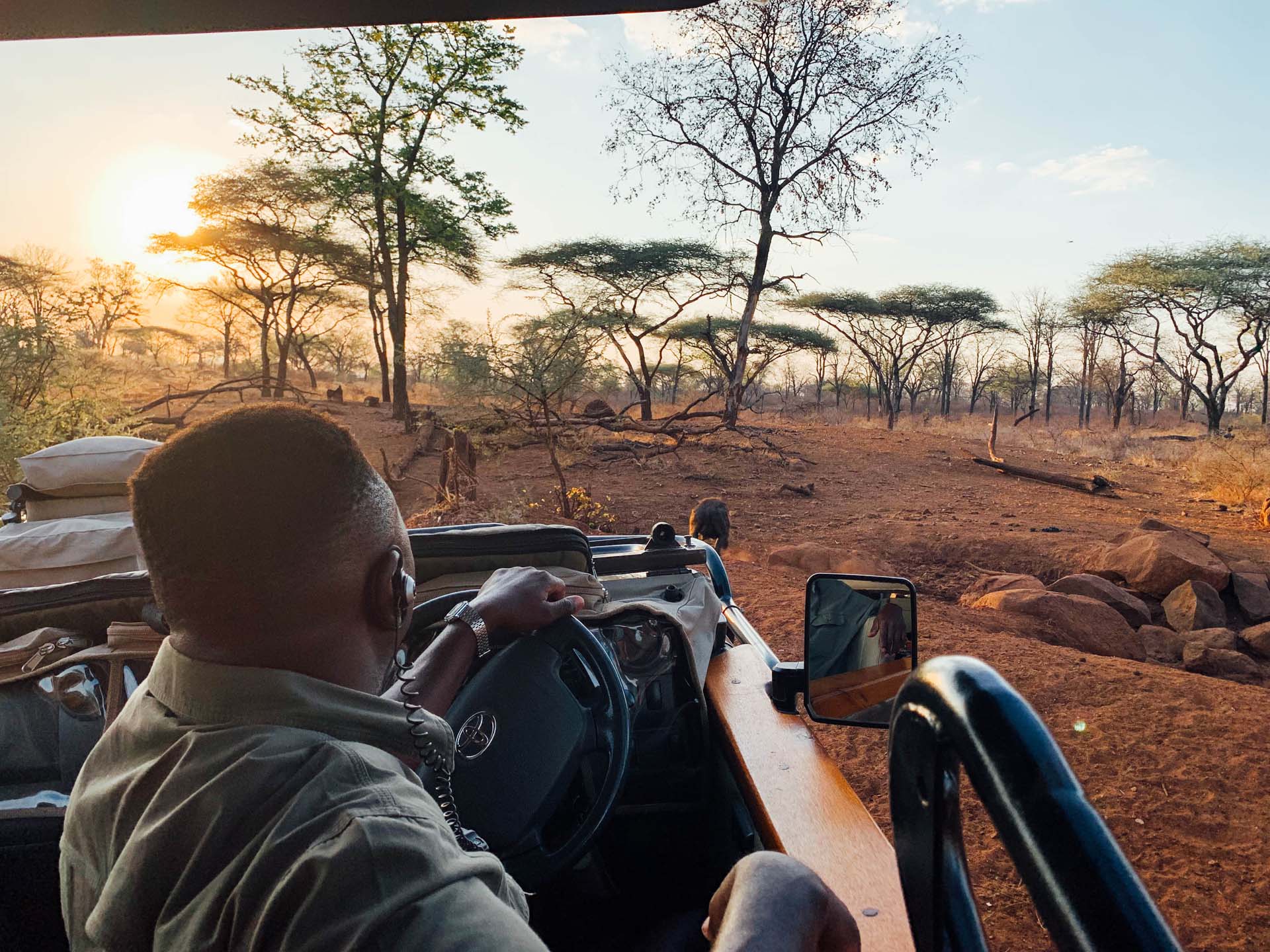 SingitaPamushana-Safari