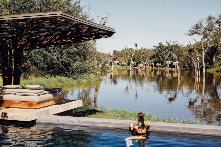 Cheetah Plains Pool view with elephants - Luxury South Africa Safari in Sabi Sand