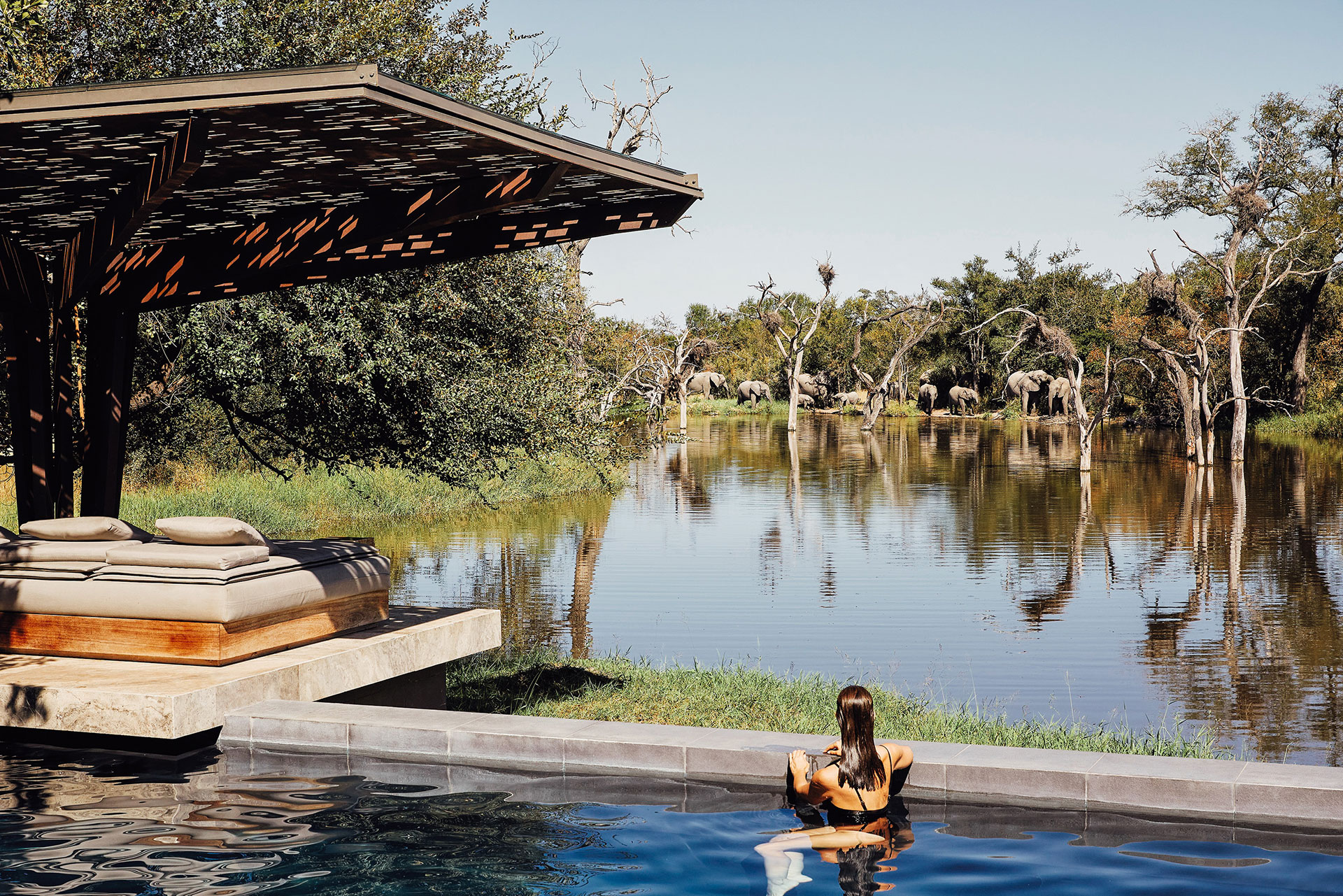 Cheetah Plains Pool view with elephants - Luxury South Africa Safari in Sabi Sand
