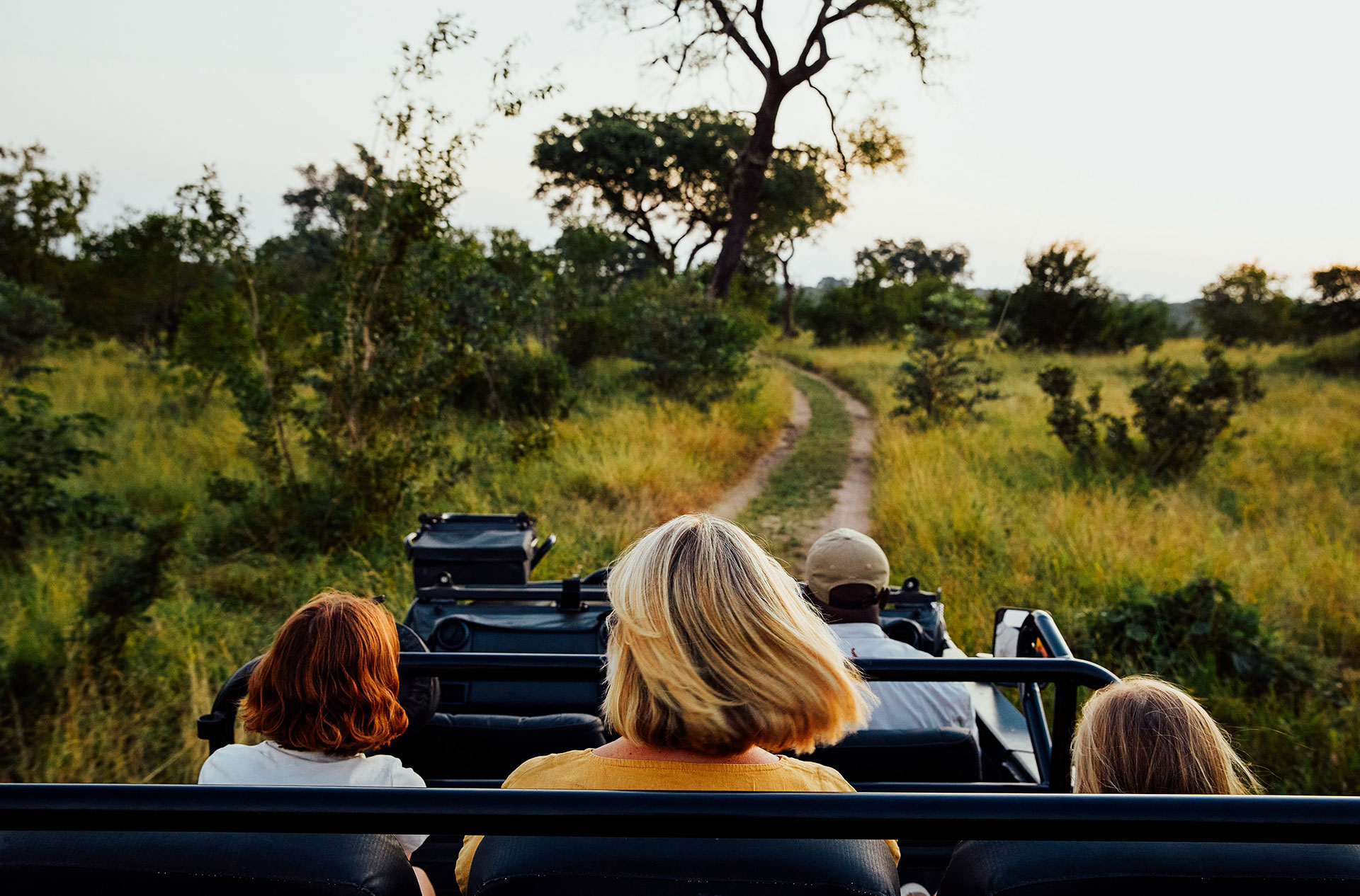 Cheetah Plains silent game drives in electric Land Cruisers - Luxury South Africa Safari in Sabi Sand