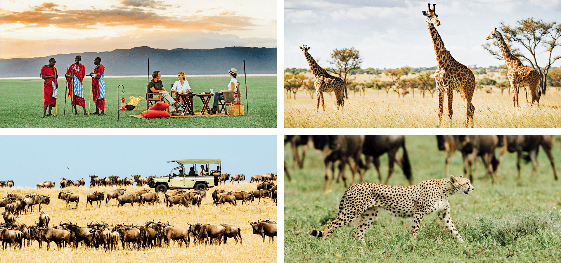 When and where to travel in Africa - Your Month-by-Month Guide - Luxury Africa Safaris