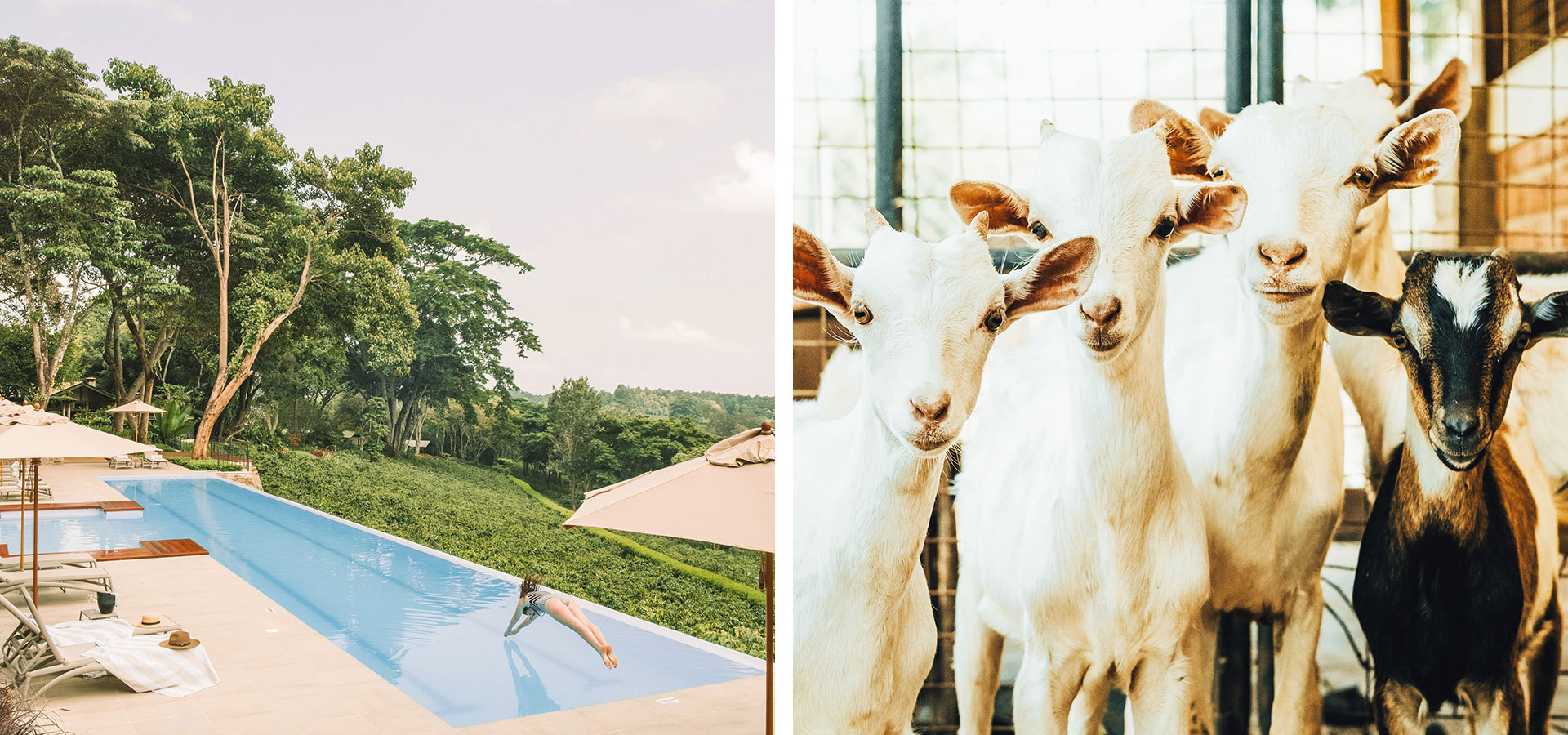 Gibb's Farm - Family-friendly Safari Camps - Luxury Africa Safaris