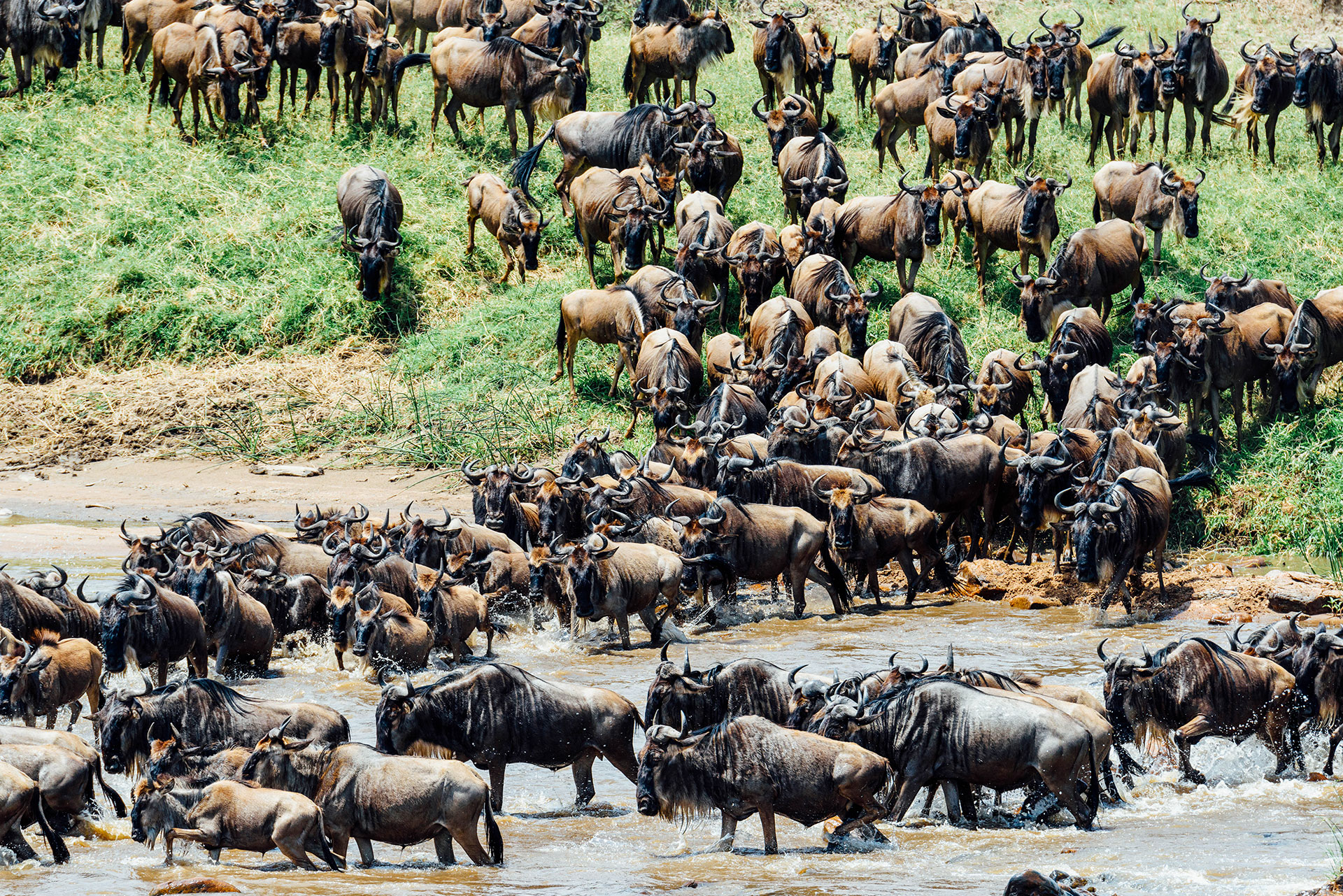 When and where to travel in Africa - Your Month-by-Month Guide - Luxury Africa Safaris