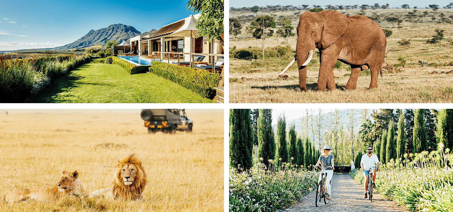 When and where to travel in Africa - Your Month-by-Month Guide - Luxury Africa Safaris