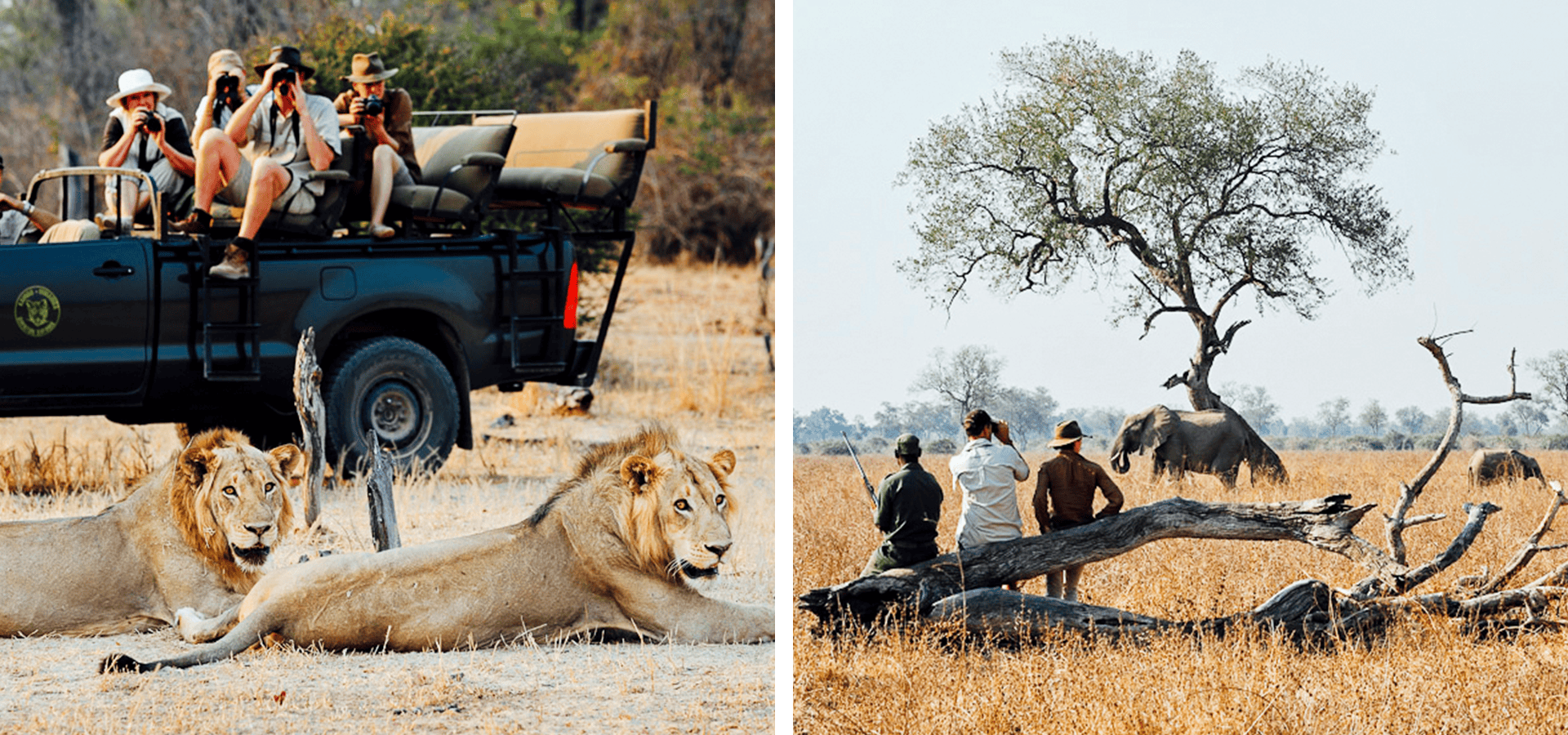 When and where to travel in Africa - Your Month-by-Month Guide - Luxury Africa Safaris