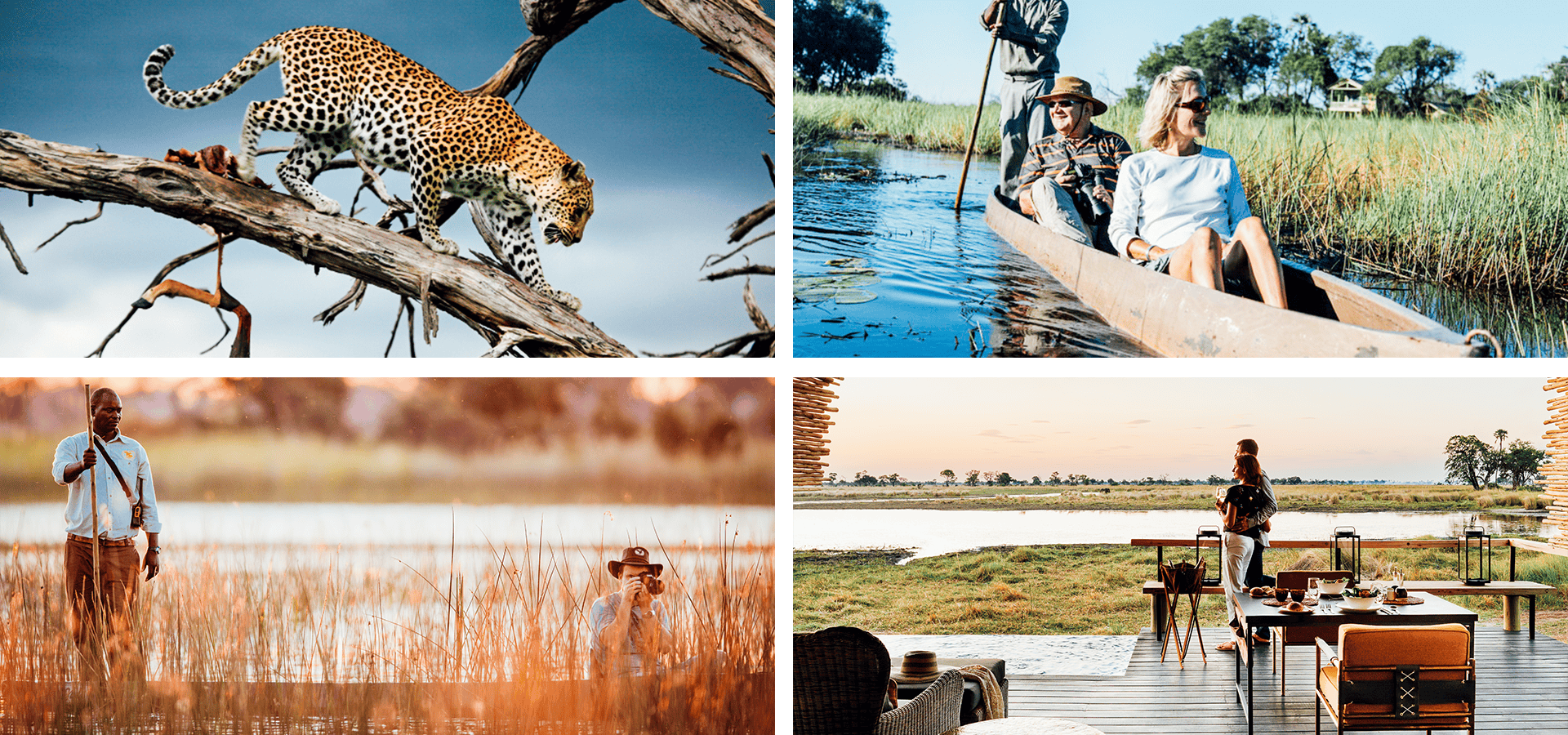 When and where to travel in Africa - Your Month-by-Month Guide - Luxury Africa Safaris