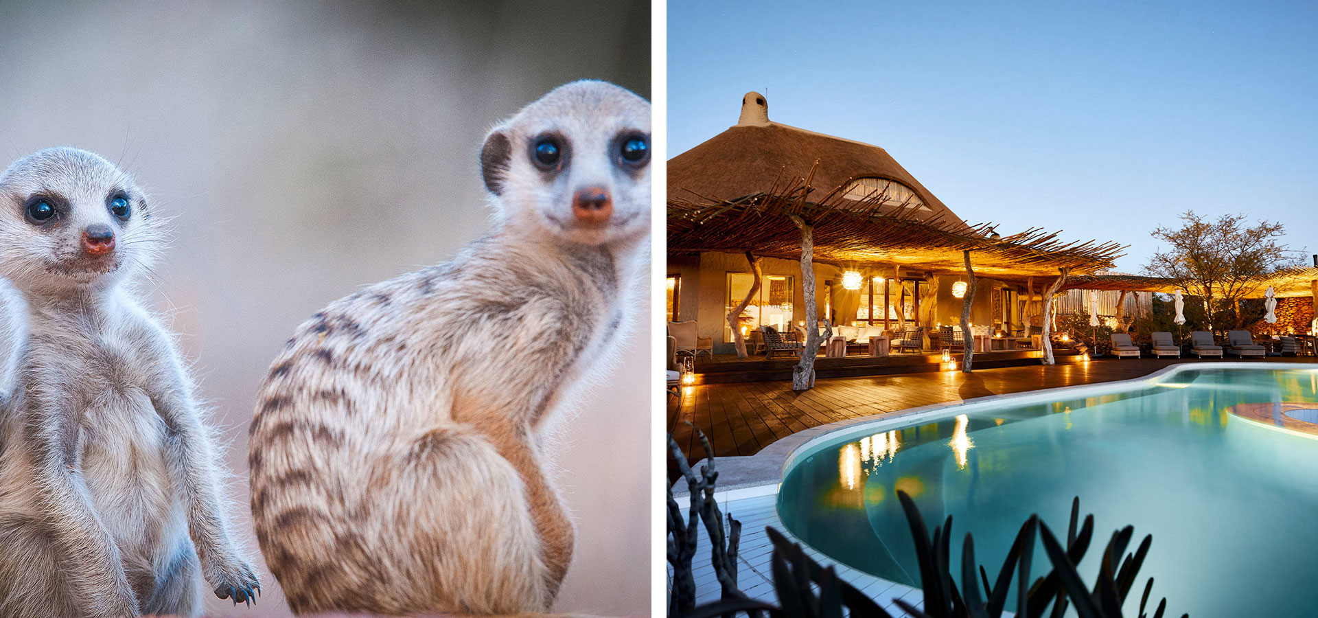 The Motse - Family-friendly Safari Camps - Luxury Africa Safaris