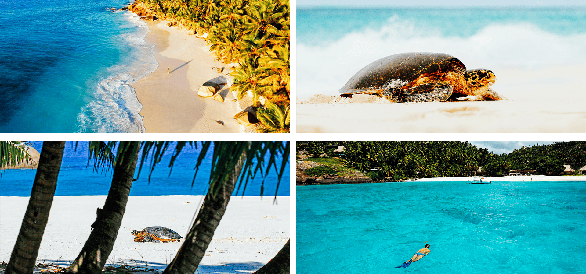 When and where to travel in Africa - Your Month-by-Month Guide - Luxury Africa Safaris