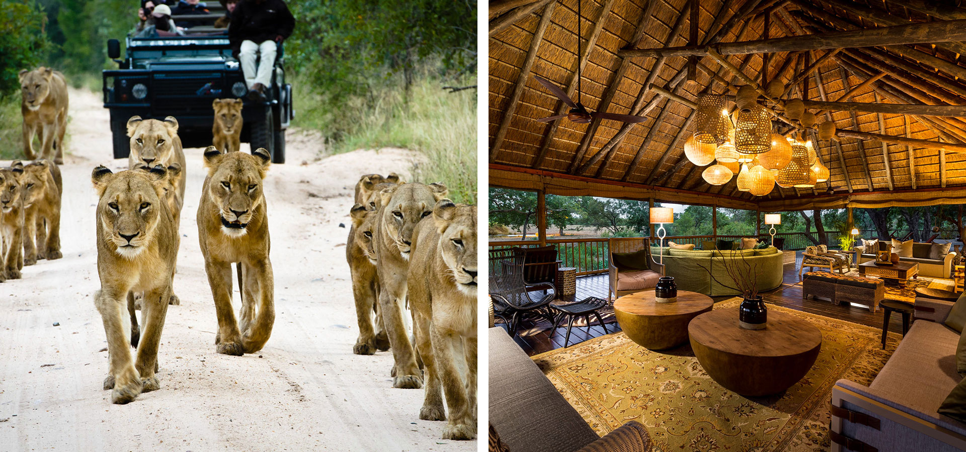 Sabi Sabi Lodge - Family-friendly Safari Camps - Luxury Africa Safaris