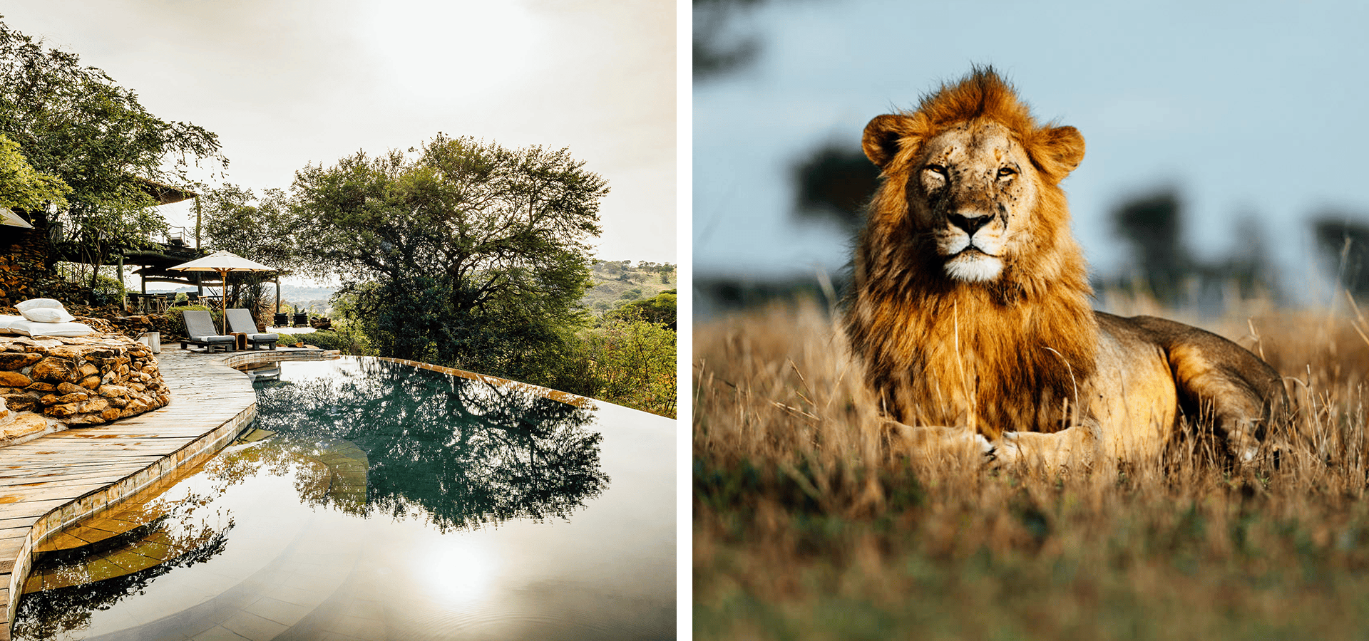 Singita Faru Faru Lodge - Top 10 Luxury Safari Lodges for Honeymoons - Luxury Africa Safaris