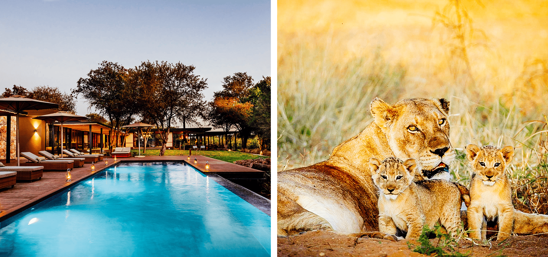 Tanda Tula - Top 10 Luxury Safari Lodges for Honeymoons - Luxury Africa Safaris