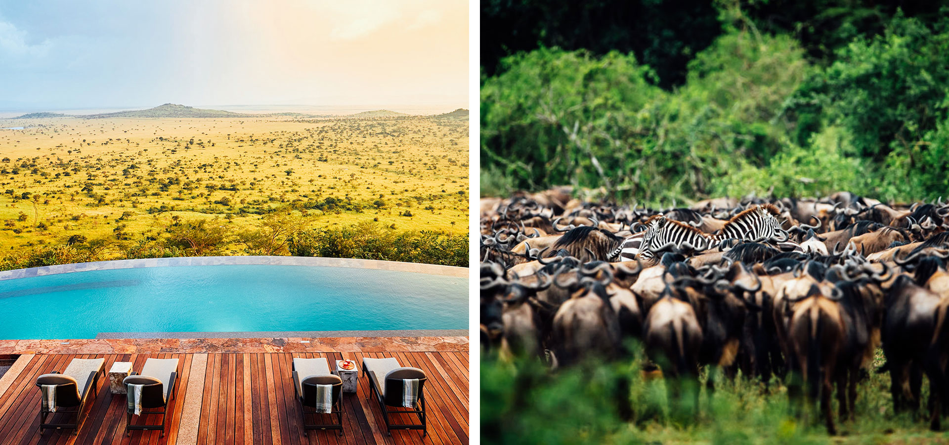 Singita Kilima - New Safari Camps - Luxury Africa Safaris