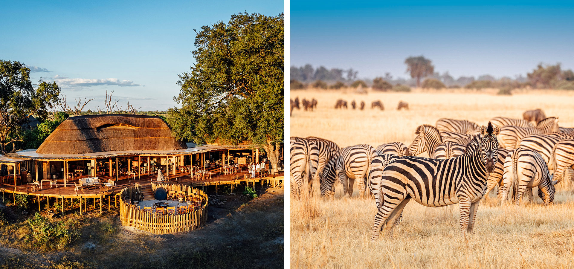 Tawana Botswana - New Safari Camps - Luxury Africa Safaris