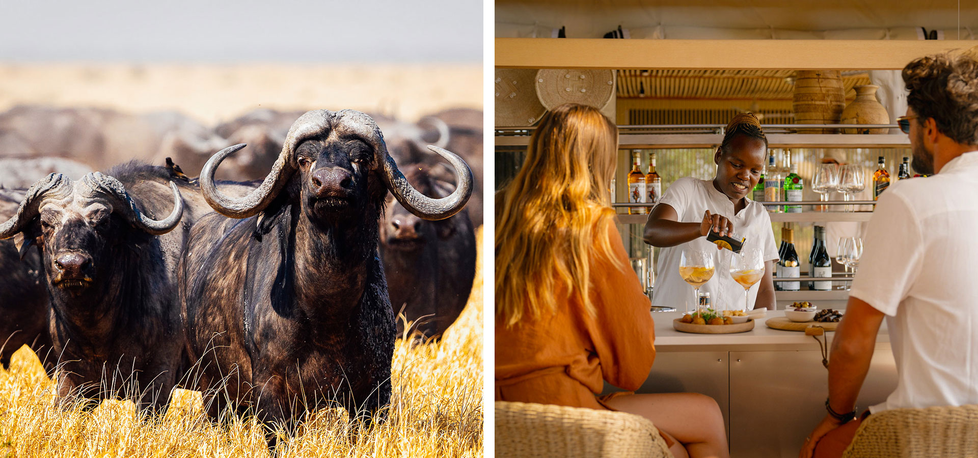 Wilderness Mokete - New Safari Camps - Luxury Africa Safaris