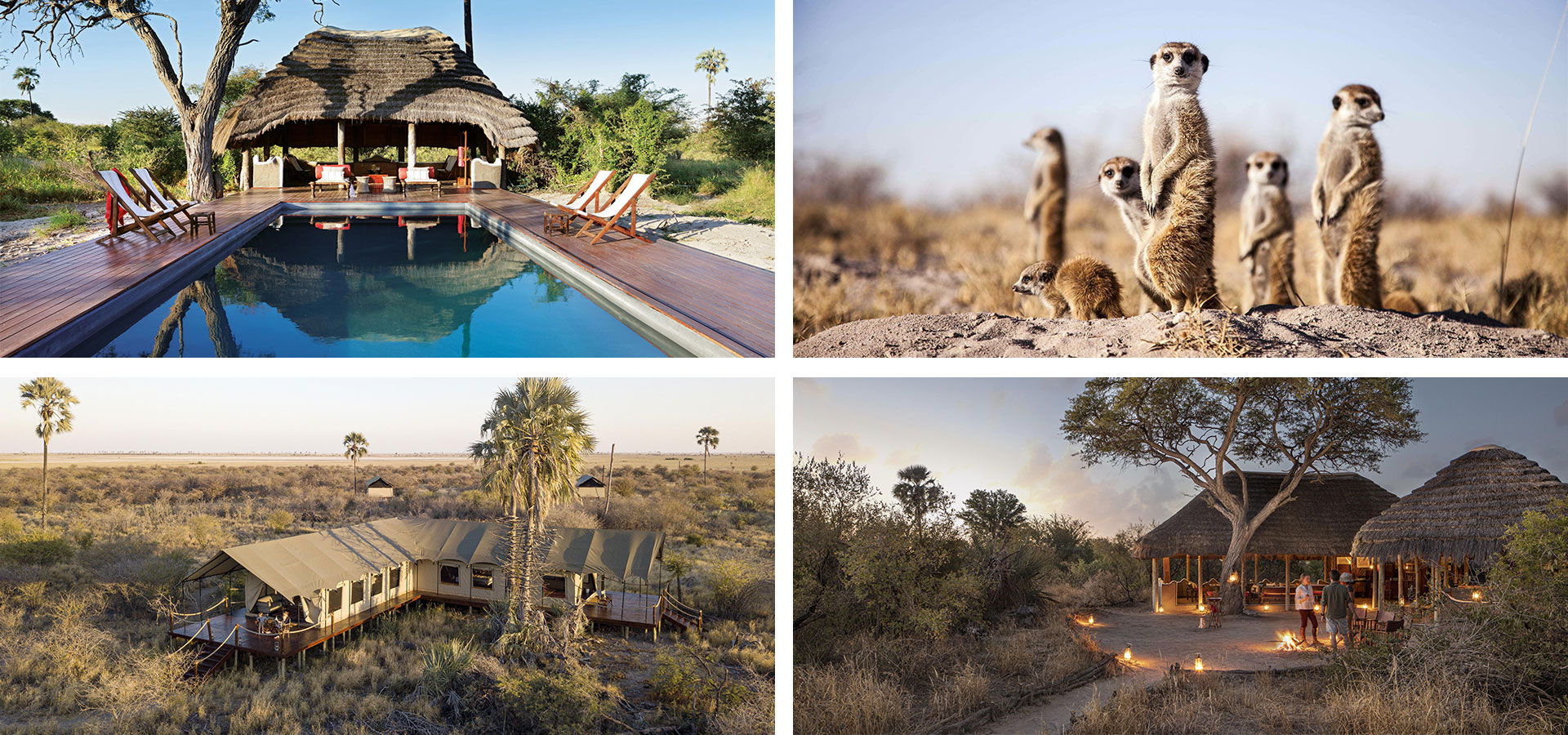 Camp Kalahari - Multigenerational Luxury Family Safari Lodges in Africa