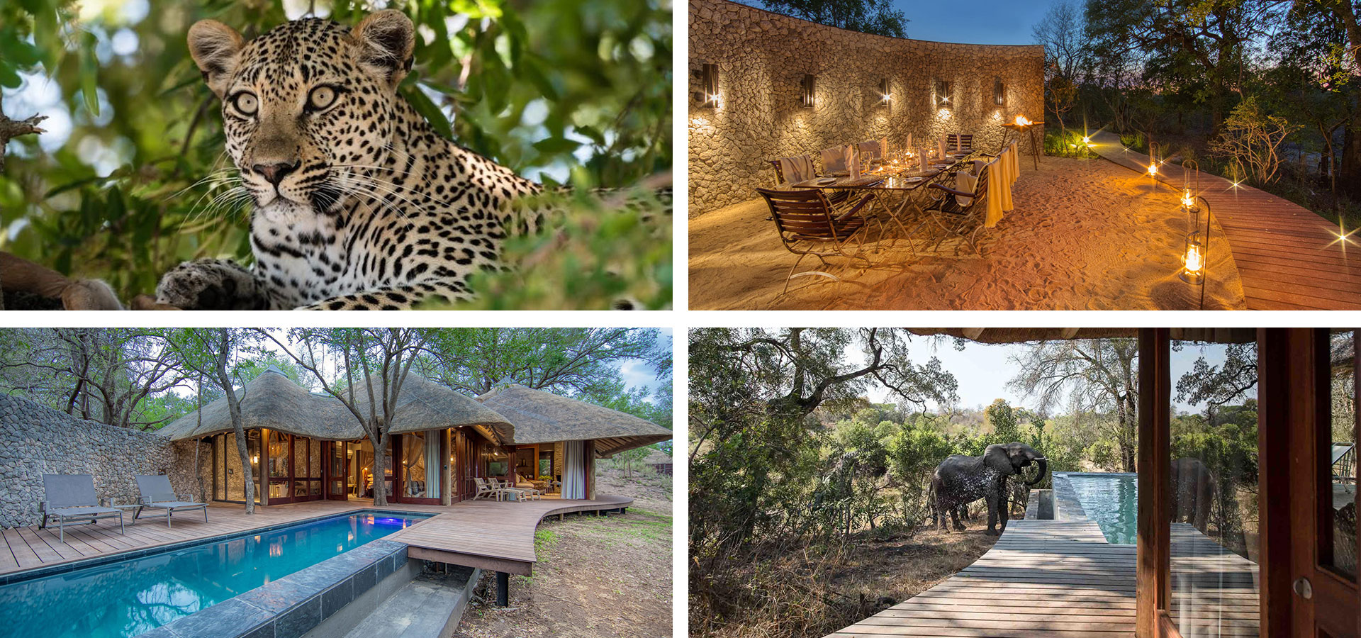 Dulini Leadwood Lodge - Multigenerational Luxury Family Safari Lodges in Africa