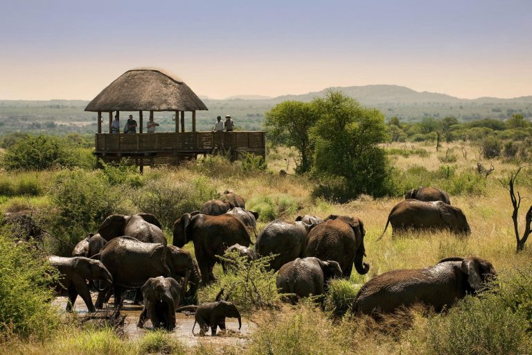 Multigenerational Luxury Family Safari Lodges in Africa