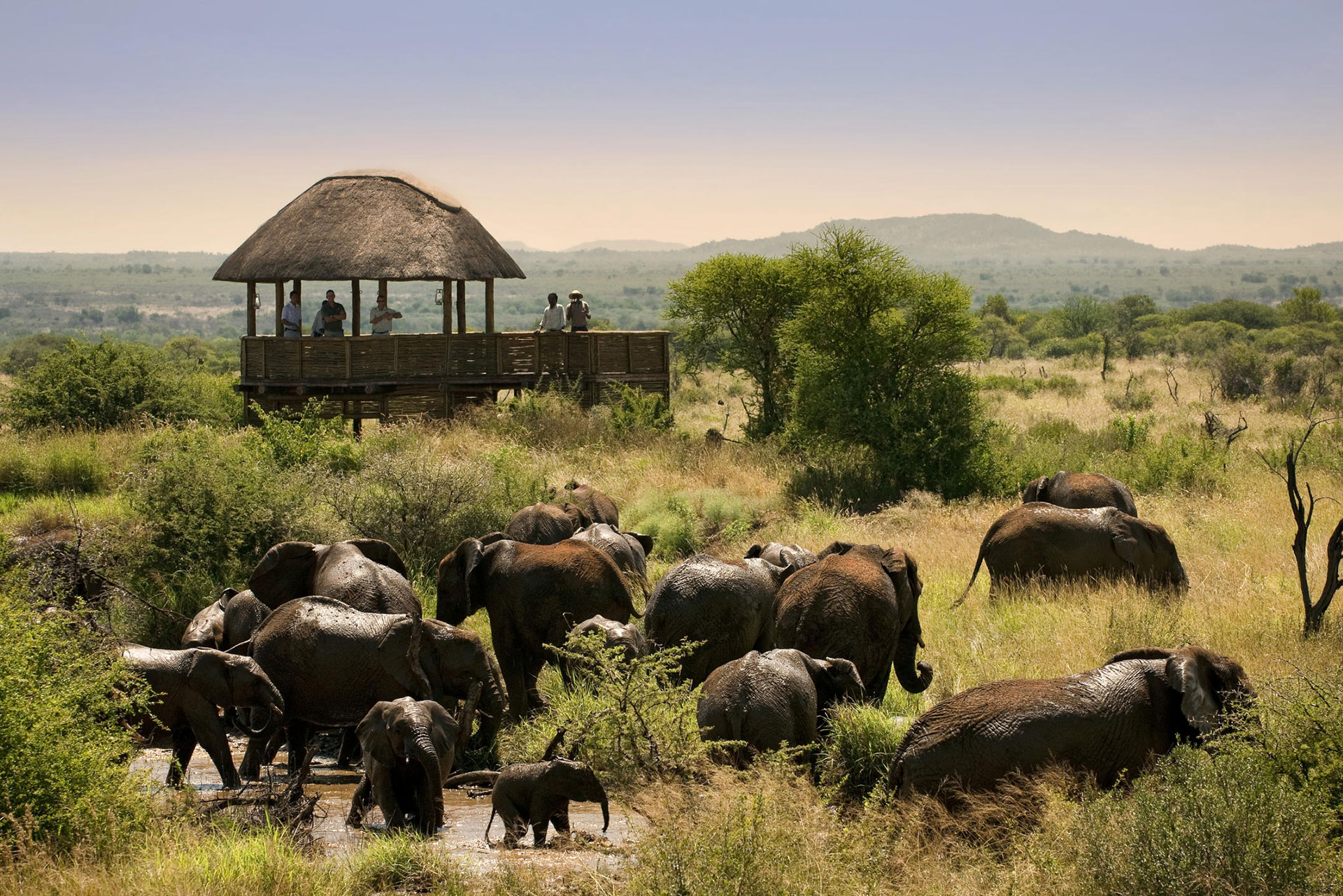 Multigenerational Luxury Family Safari Lodges in Africa