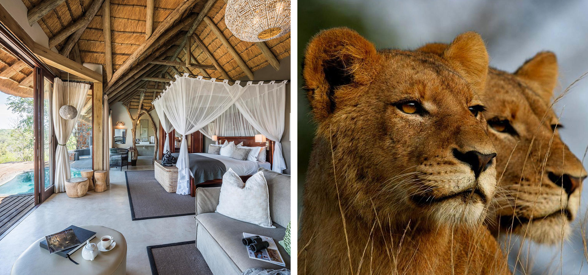 Leopard Hills Sabi Sands - Solo Travel in Africa - Luxury Africa Safaris