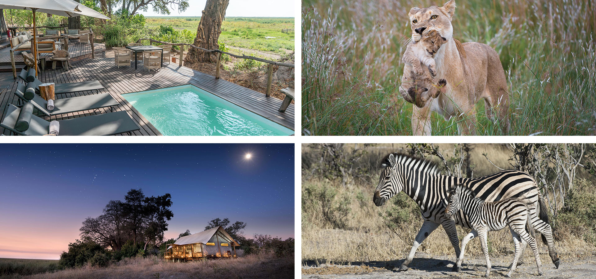 Linyanti Ebony Camp - Multigenerational Luxury Family Safari Lodges in Africa