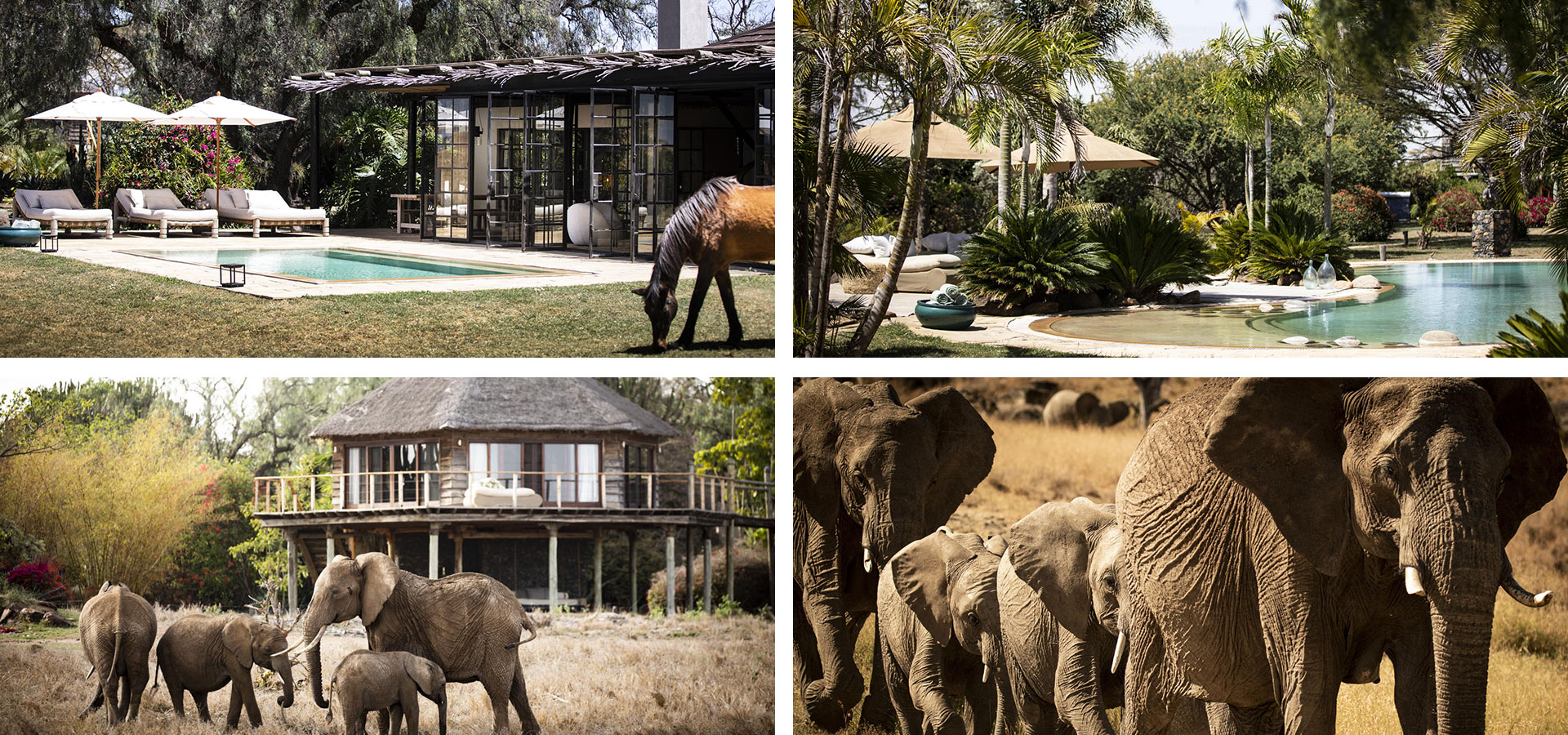 Segera Retreat - Multigenerational Luxury Family Safari Lodges in Africa