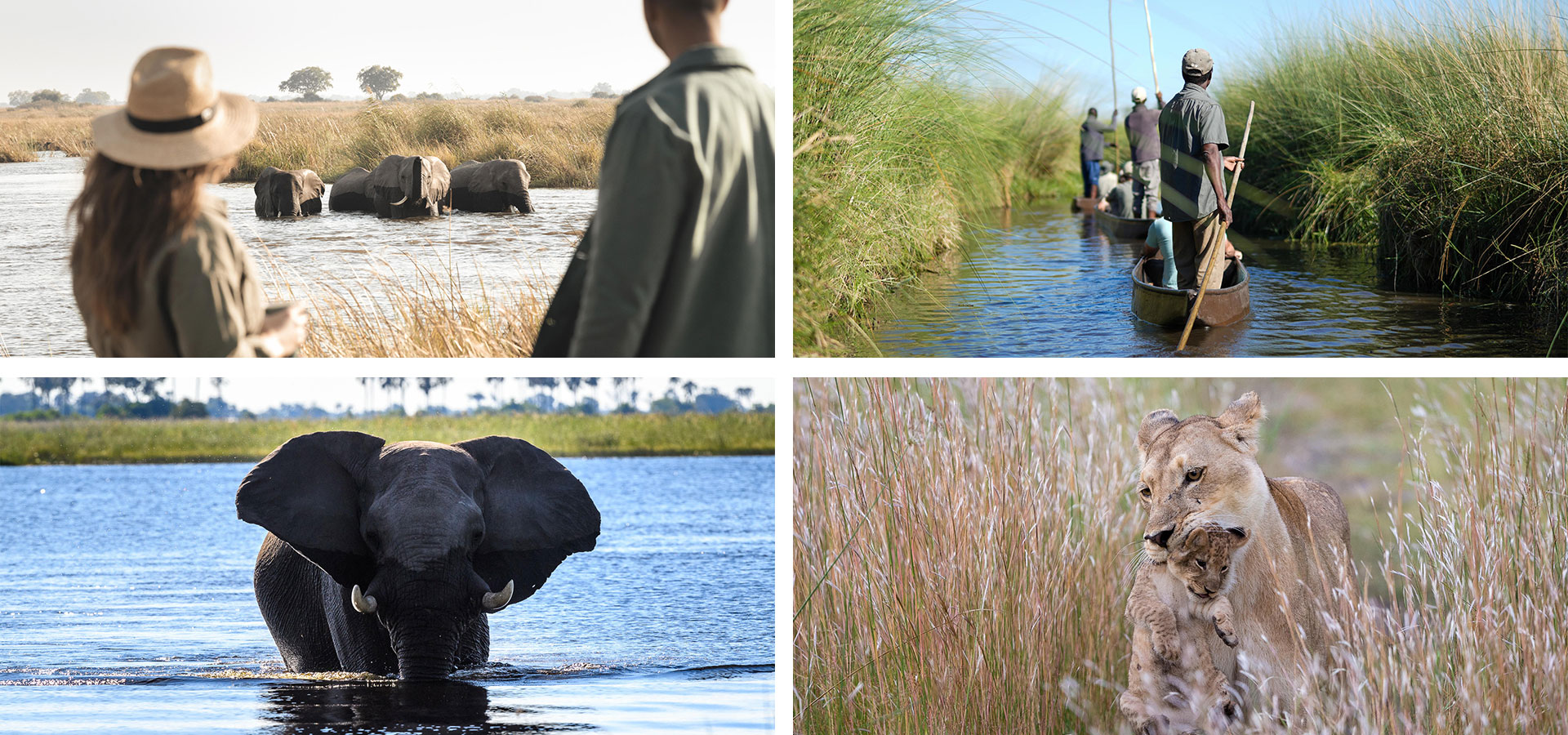 Botswana - When and where to travel in Africa - Luxury Africa Safaris with Forth & Wonder