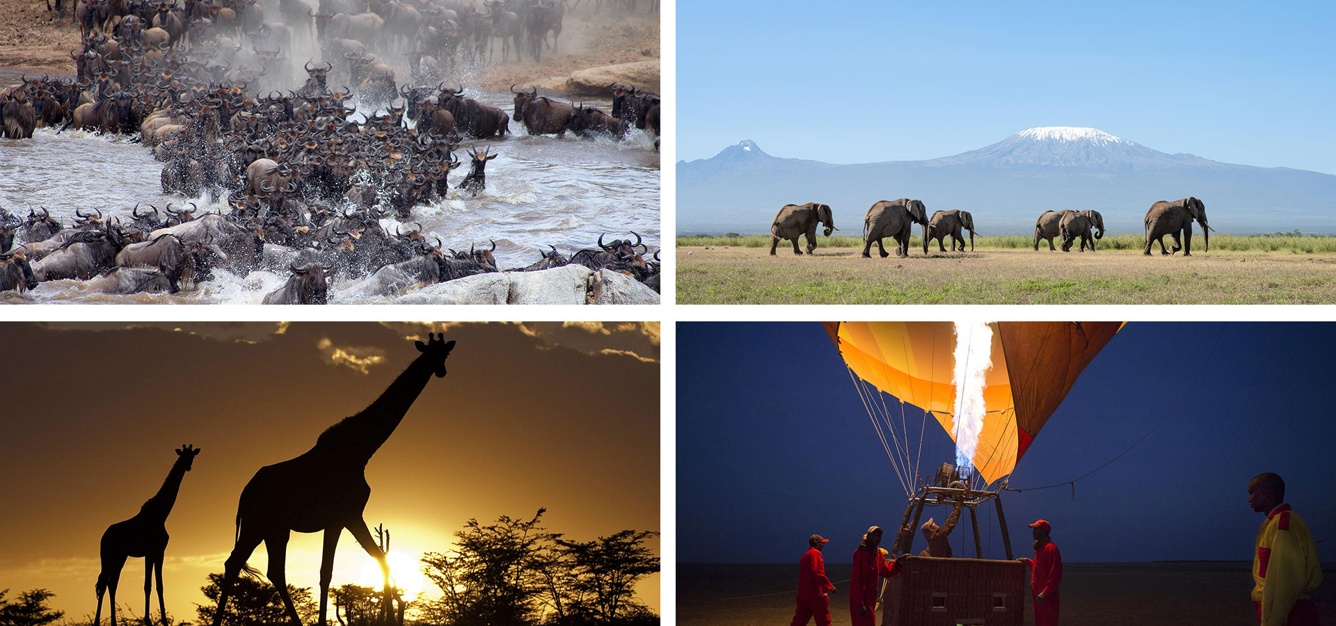 Kenya - When and where to travel in Africa - Luxury Africa Safaris with Forth & Wonder
